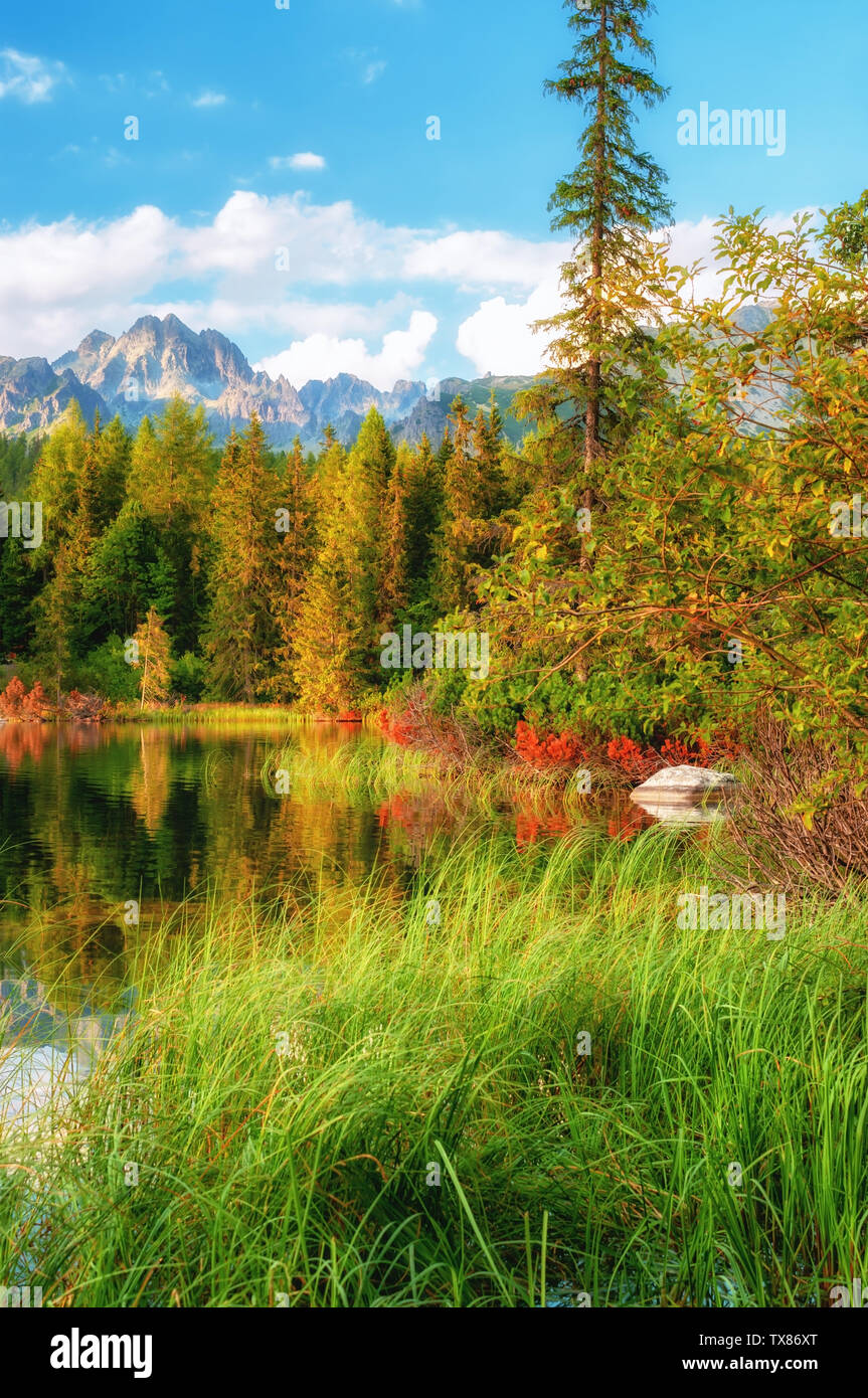 Lago de las montañas Tatras National Park Foto de stock