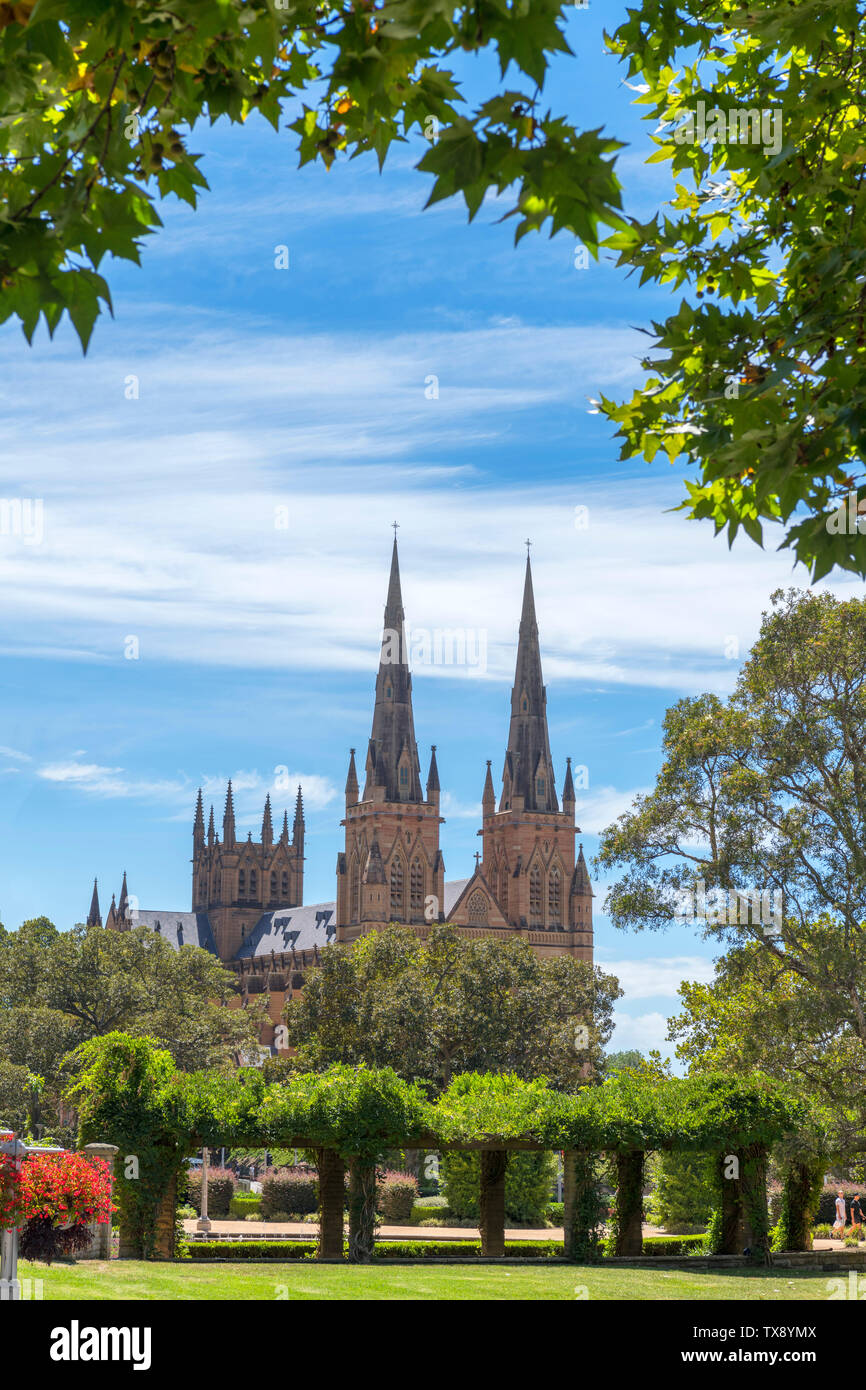 La Catedral de St Mary's de Hyde Park, Sydney, New South Wales, Australia Foto de stock