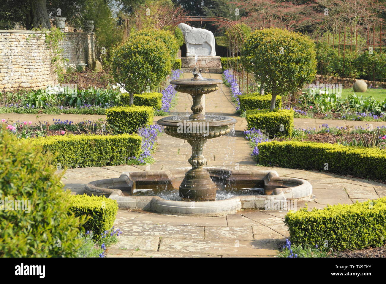 Buxus. Cobertura cuadro visto desde la fuente en el jardín de rosas al Castillo de Belvoir, Inglaterra, Reino Unido. Foto de stock