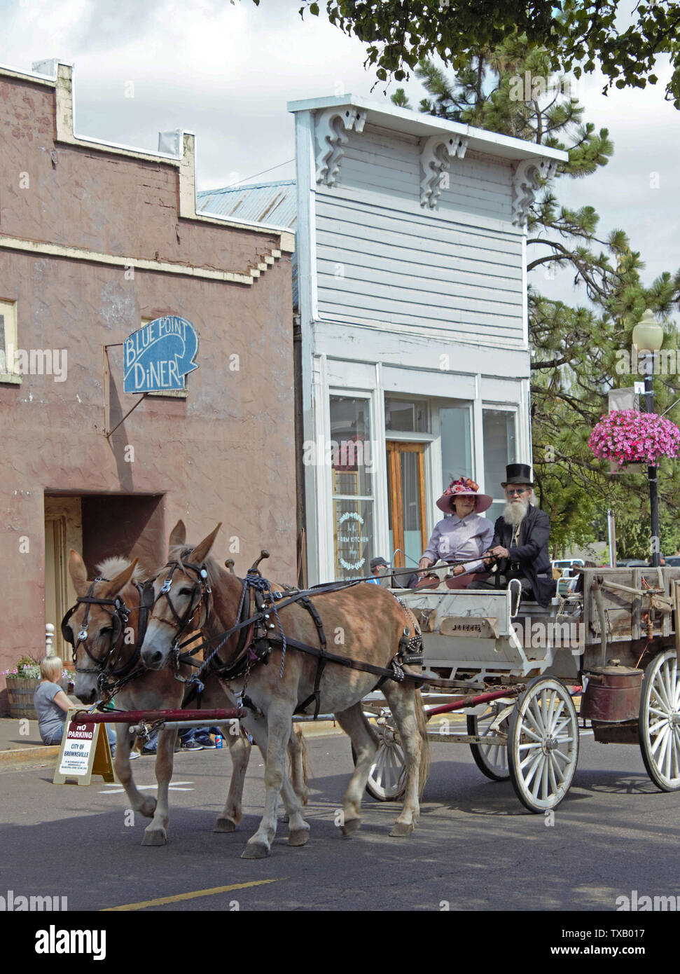 Dos mulas tirar un viejo vagón en el desfile de Brownsville, Oregon. Foto de stock