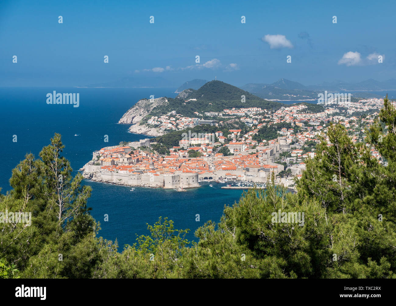 Ciudad Fortaleza de Dubrovnik, en Croacia, enmarcadas por los árboles Foto de stock