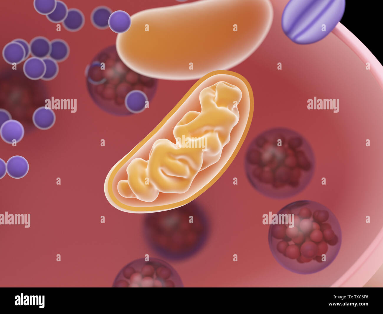 Ilustración 3D prestados de una sección transversal de Synapse. Foto de stock