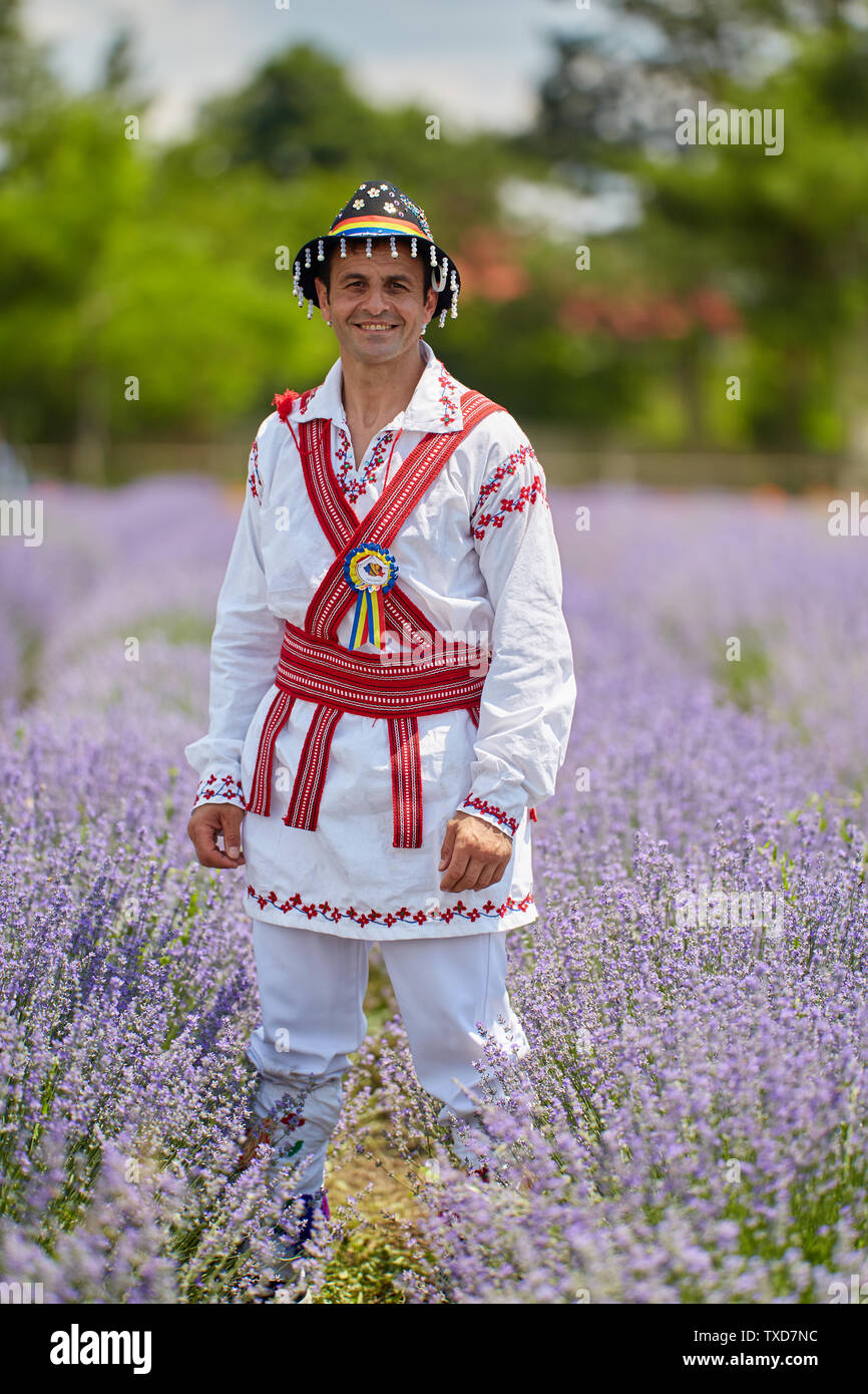 Hombre en traje rumana en un campo lila Fotografía de stock - Alamy
