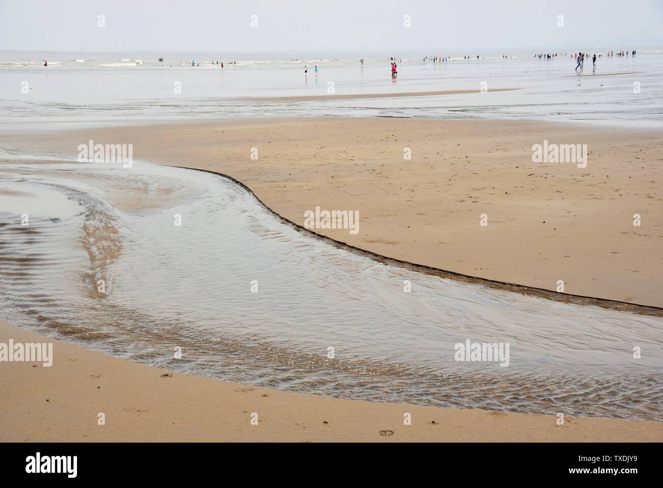 Patrón de arena negra, Ubharat playa, Navsari, Gujarat, India, Asia Foto de stock