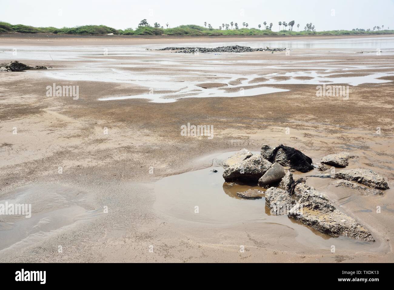 Patrón de arena negra, Ubharat playa, Navsari, Gujarat, India, Asia Foto de stock