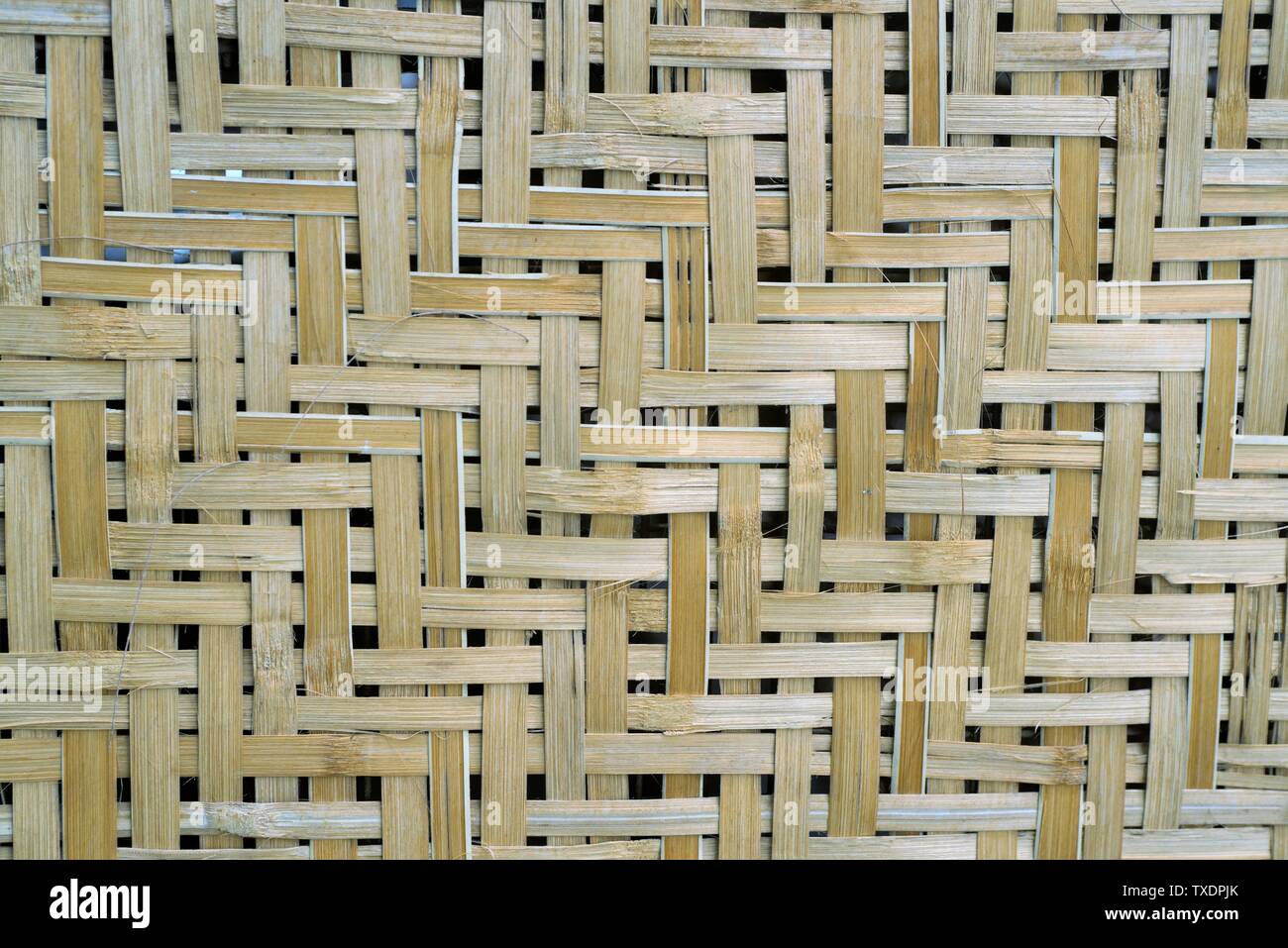 Muro de tiras de bambú, Pune, Maharashtra, India, Asia Foto de stock