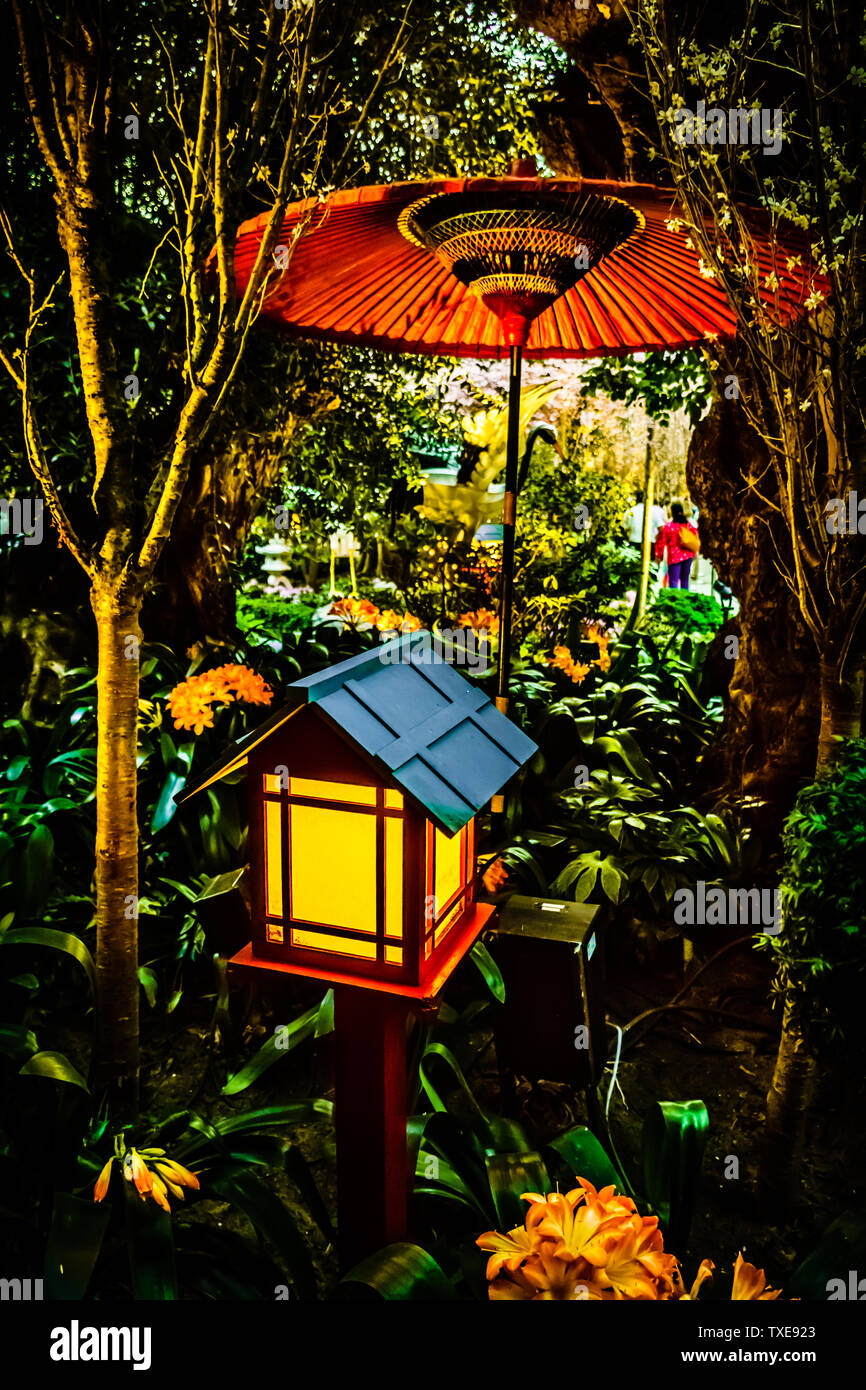 Singapur - Mayo 15, 2019: Sakura Matsuri , el popular festival de la flor de la cereza en los jardines junto a la bahía. Foto de stock