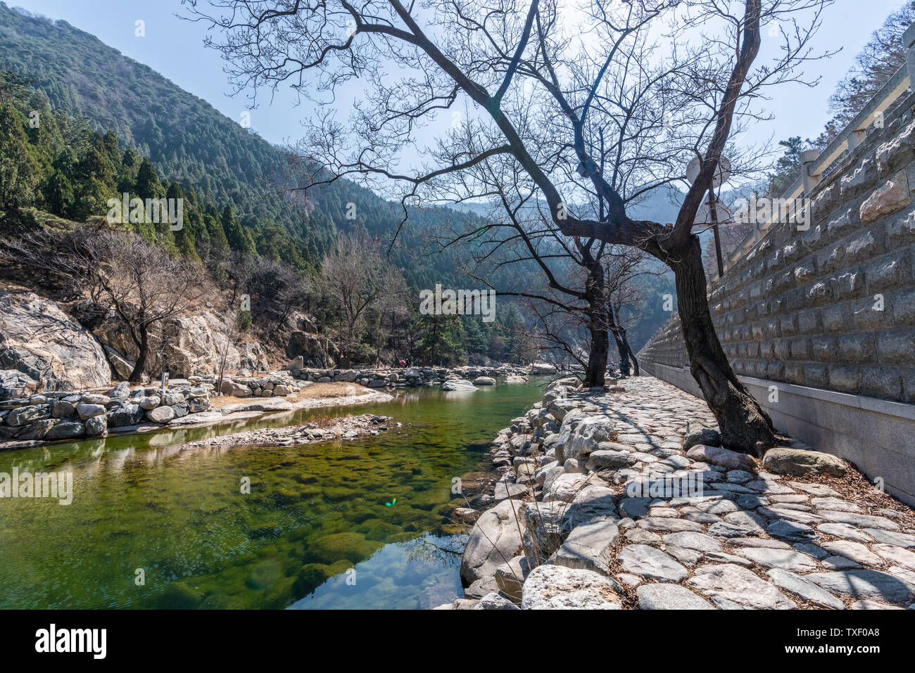 El paisaje natural del Monte Tai Shan Cai Shi Creek Foto de stock