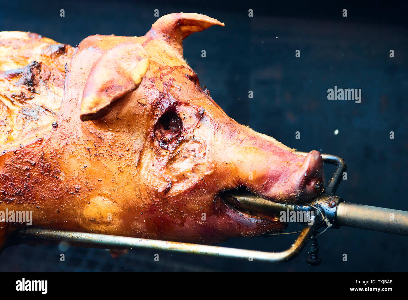 Chef cortando a mano cerdo entero a la parrilla para carnes con cuchillo.  Cerdo a la parrilla tradicional carbón y fuego. El pequeño cerdo es asado  entero en un fuego abierto. P