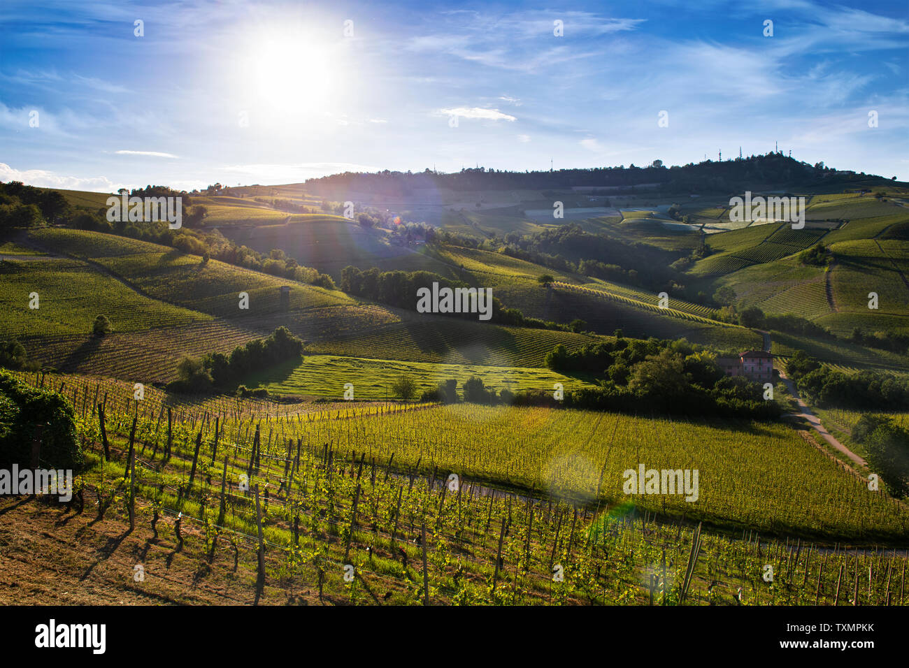 Maravillosos viñedos y bosques en la ladera Sarmassa ubicada en el municipio de Barolo Piedmont Italy, el cielo es azul con nubes preciosos Foto de stock