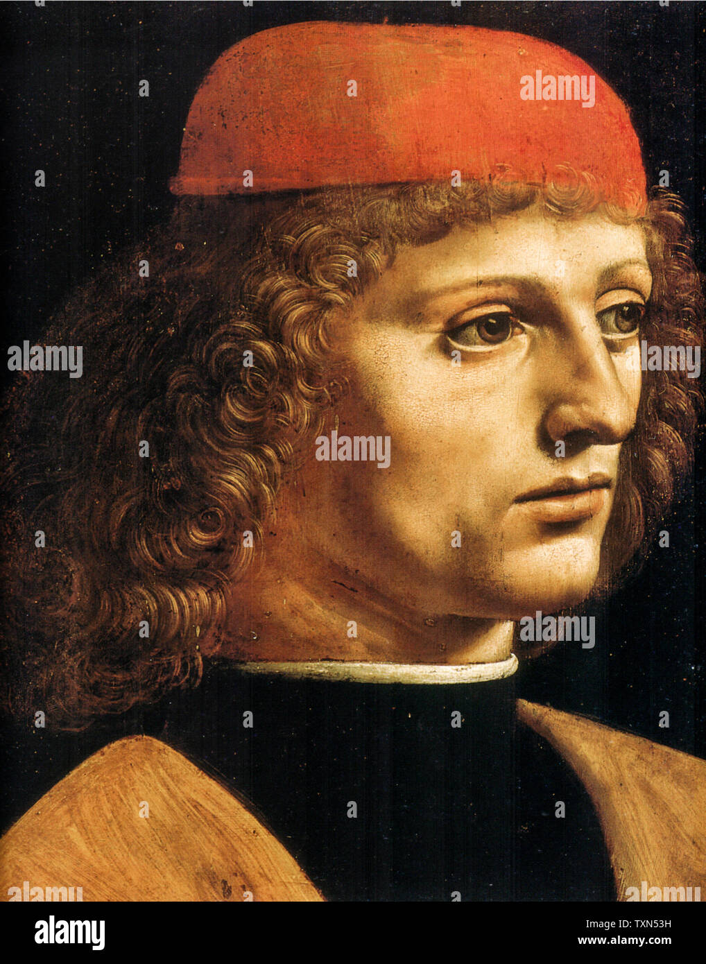 Leonardo Da Vinci, el retrato de un músico (detalle), retrato, 1490 Foto de stock