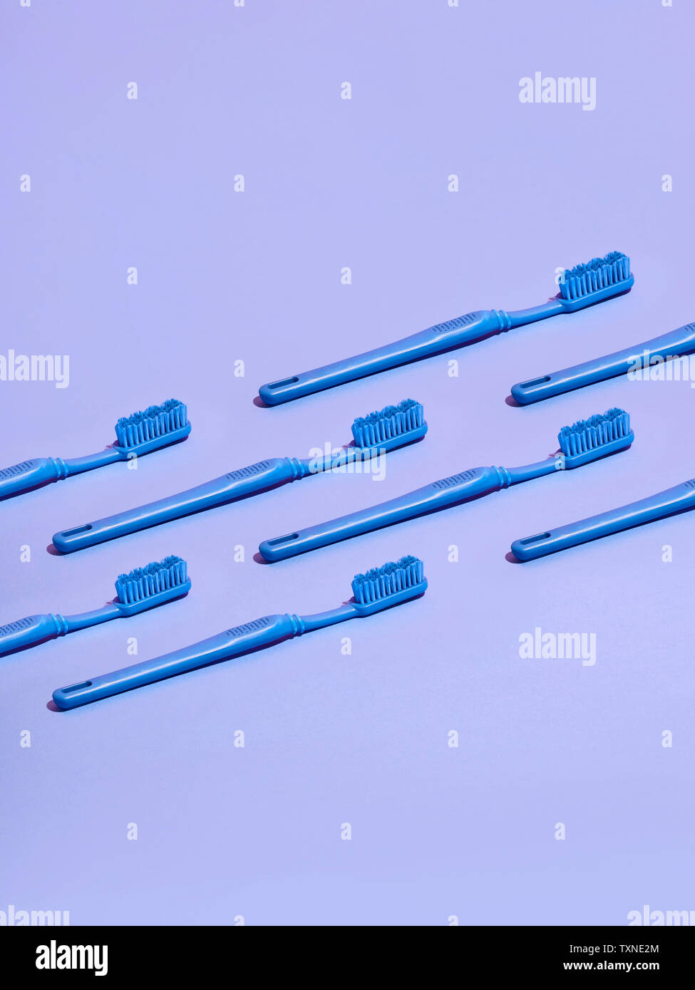 Los cepillos de dientes dispuestos en hileras sobre fondo lila Foto de stock