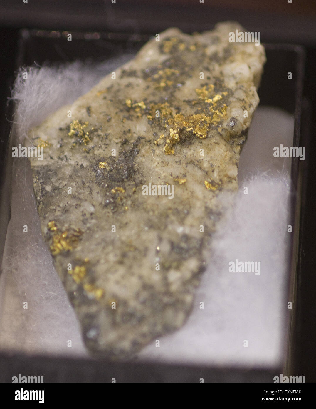 El mineral de oro está en exhibición en el Argo mina de oro en Idaho  Springs, Colorado el 12 de mayo de 2011. El precio del oro hoy es de  $1504.05 por