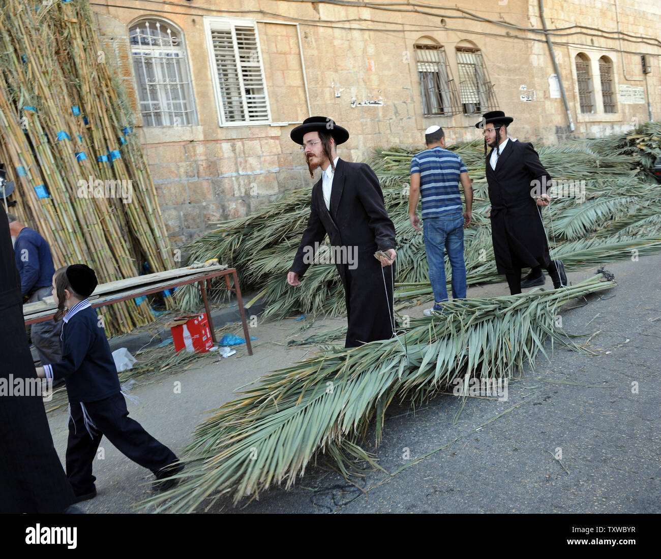 Los Hombres Judíos Ultra Orthodox Llevar Ramas De Palma Para Ser