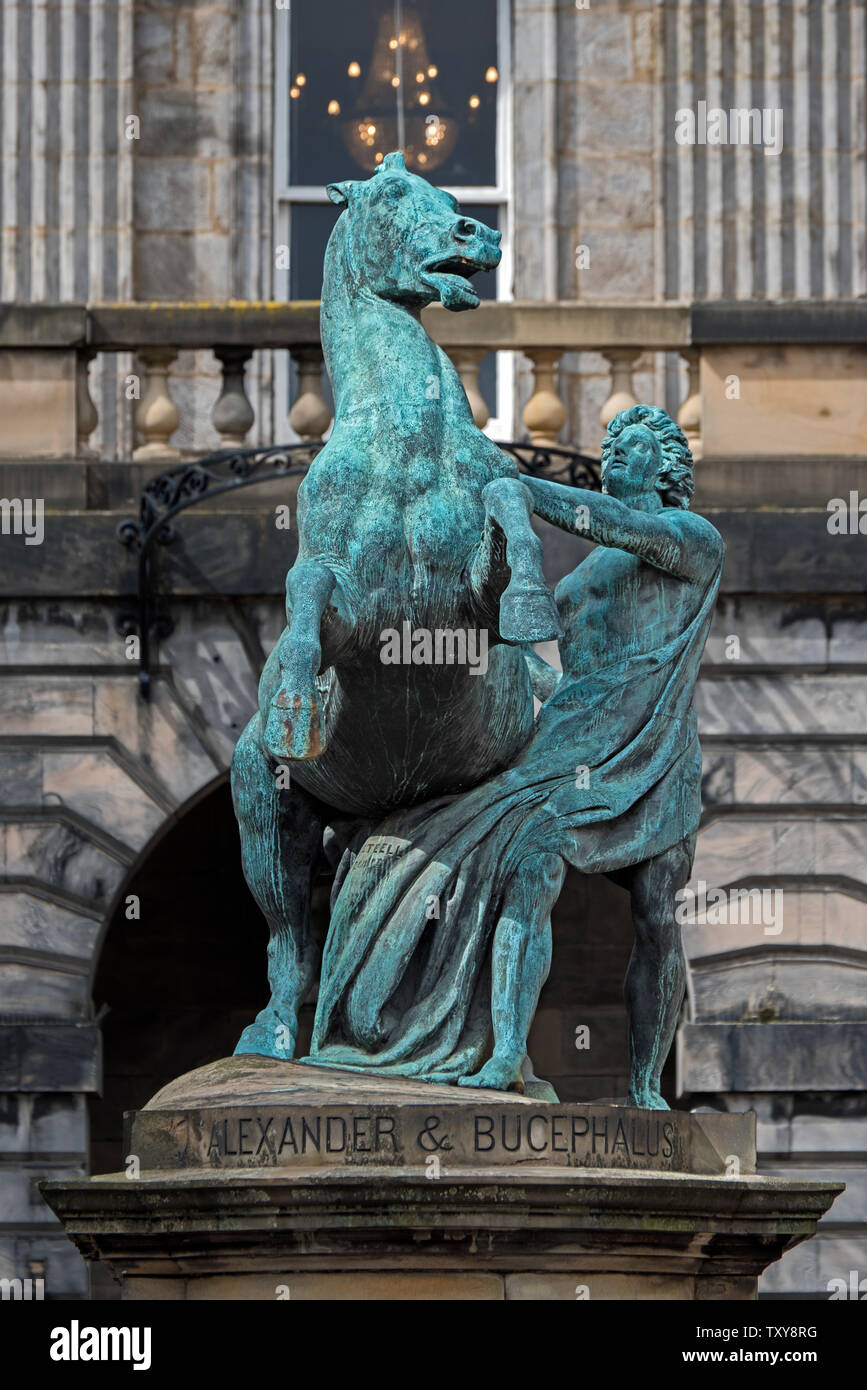 La estatua de Alejandro Magno y su caballo Bucephalus en el patio de las  salas de la ciudad de Edimburgo en el casco antiguo de Edimburgo Fotografía  de stock - Alamy