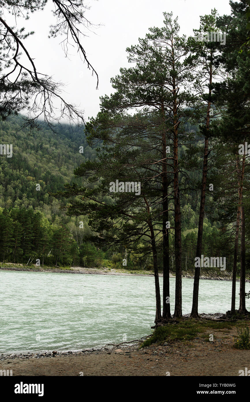 El encanto y la belleza de la naturaleza virgen de Altai Foto de stock