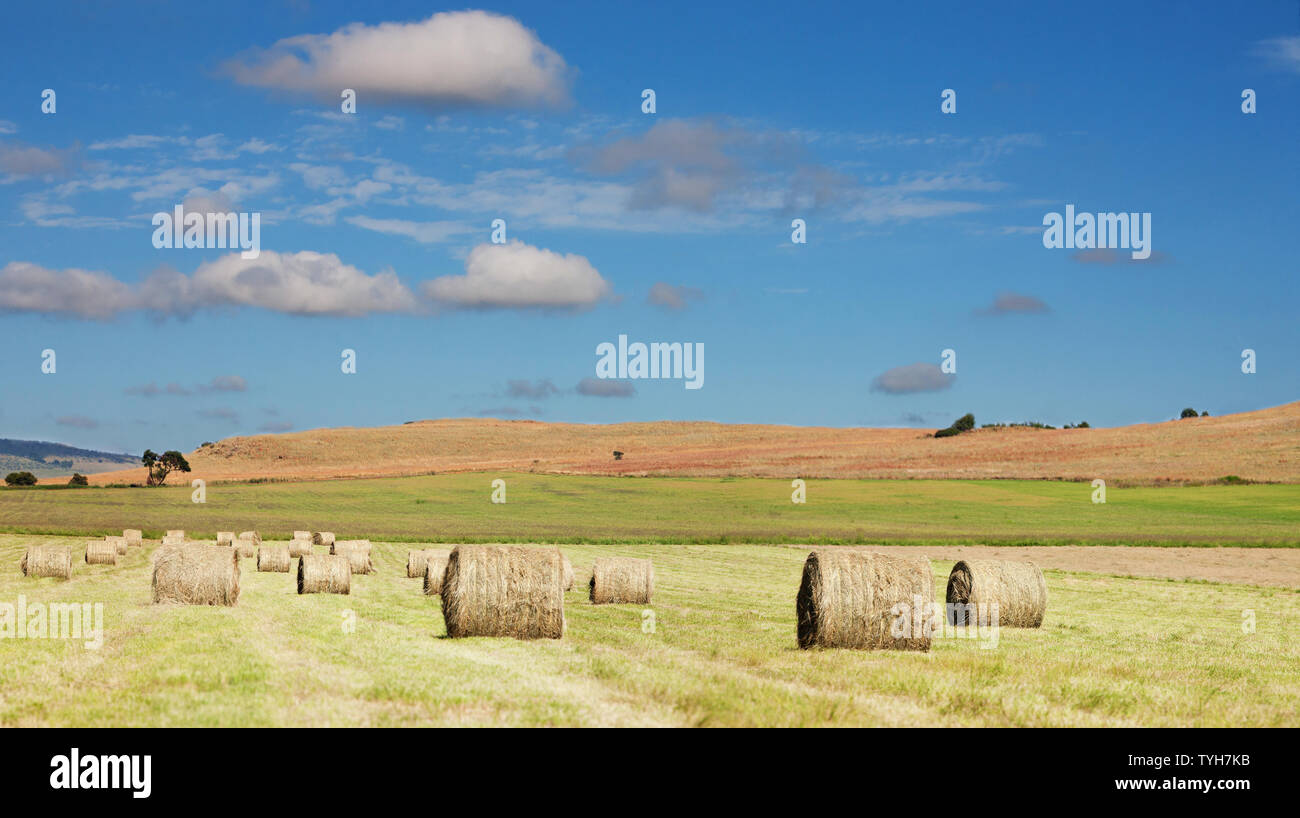 paisaje de campo de heno con rollos de heno, contra un cielo azul nublado. Foto de stock