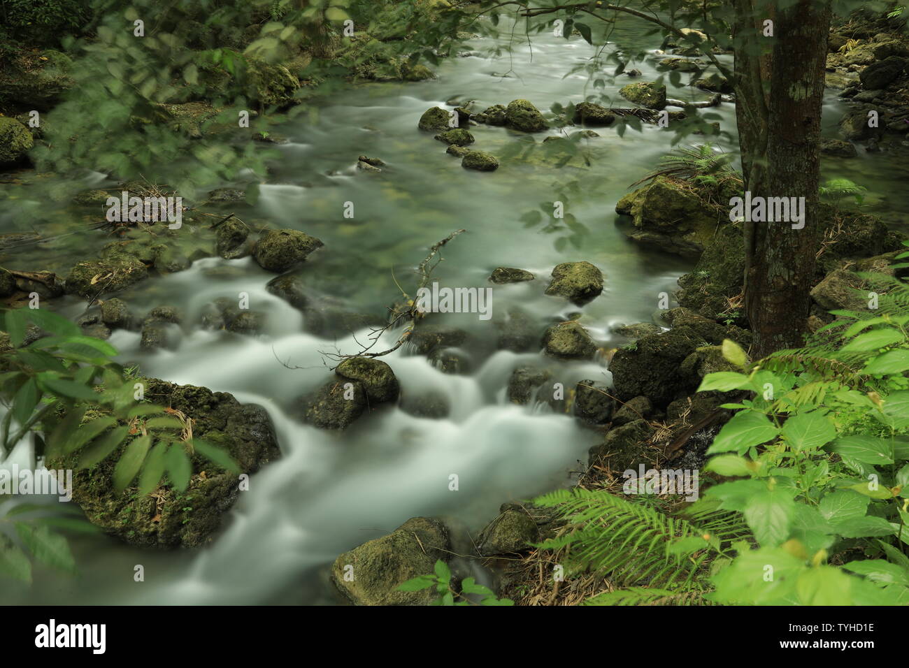 Kawasan Falls Foto de stock