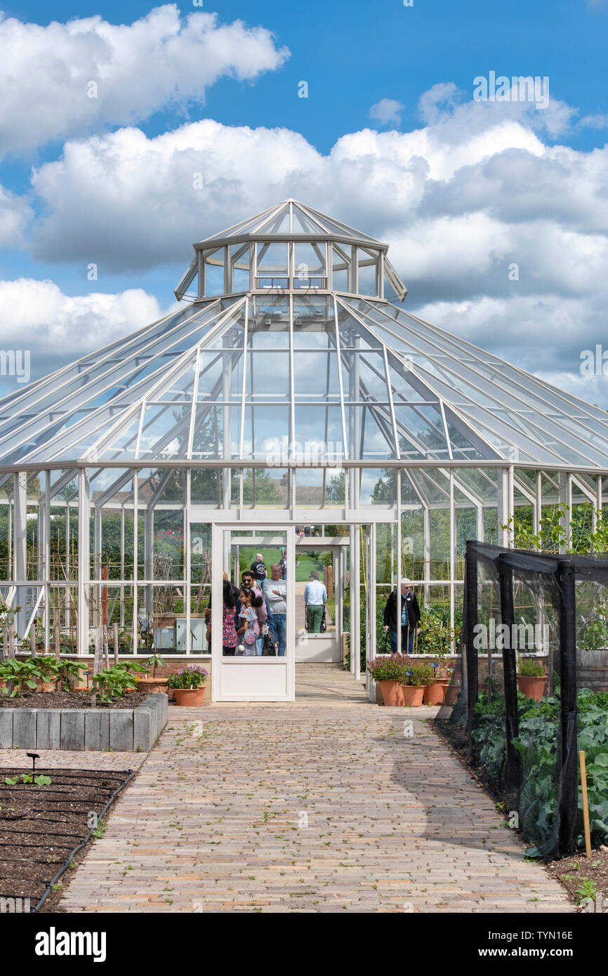 Invernadero octogonal en el crecimiento mundial RHS Garden Hyde Hall, Chelmsford, Essex, Inglaterra Foto de stock