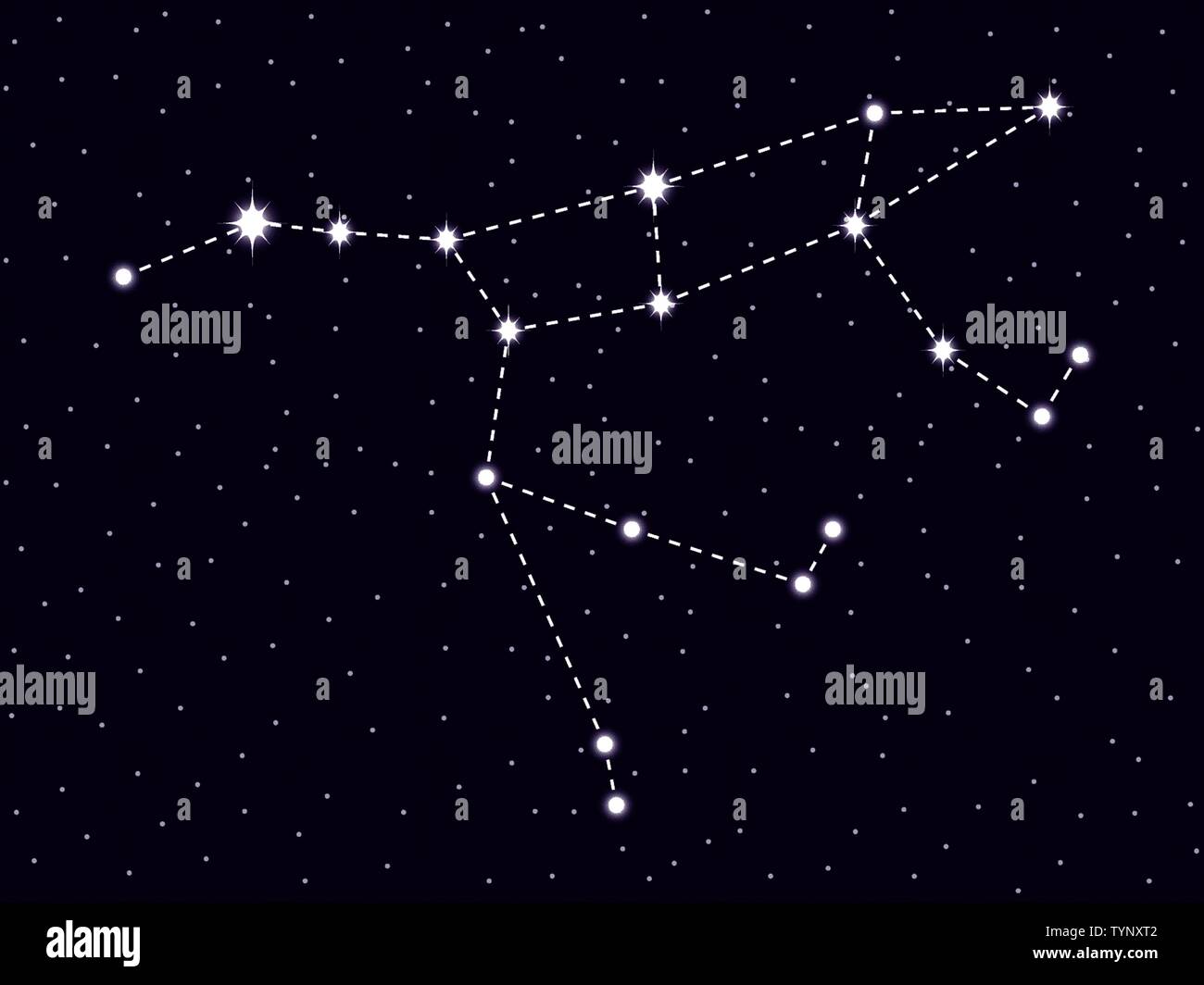 La constelación de la Osa Mayor. Noche estrellada. Ilustración