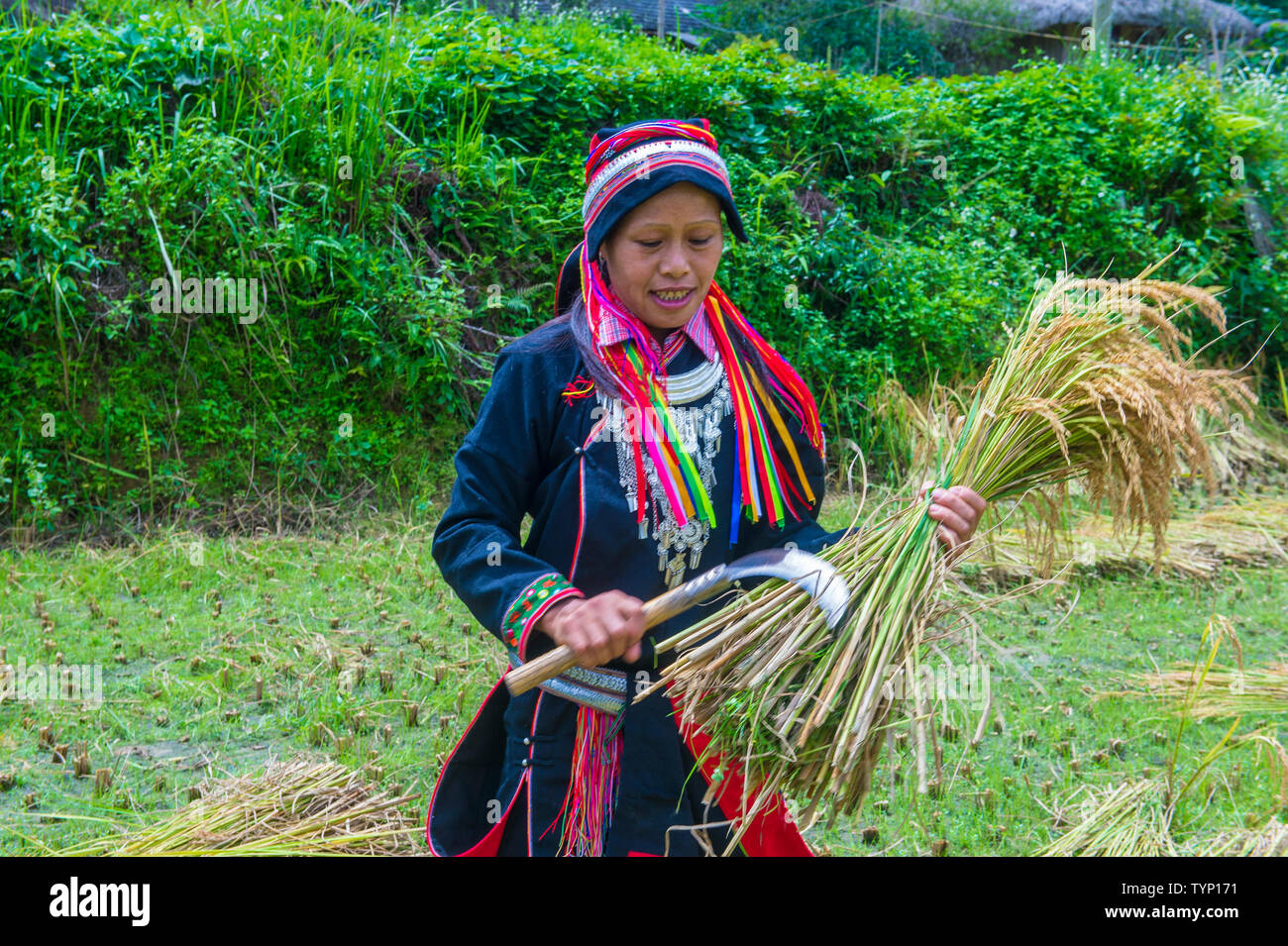 Una mujer de la minoría dao rojo en una aldea cerca de Ha Giang en Vietnam Foto de stock