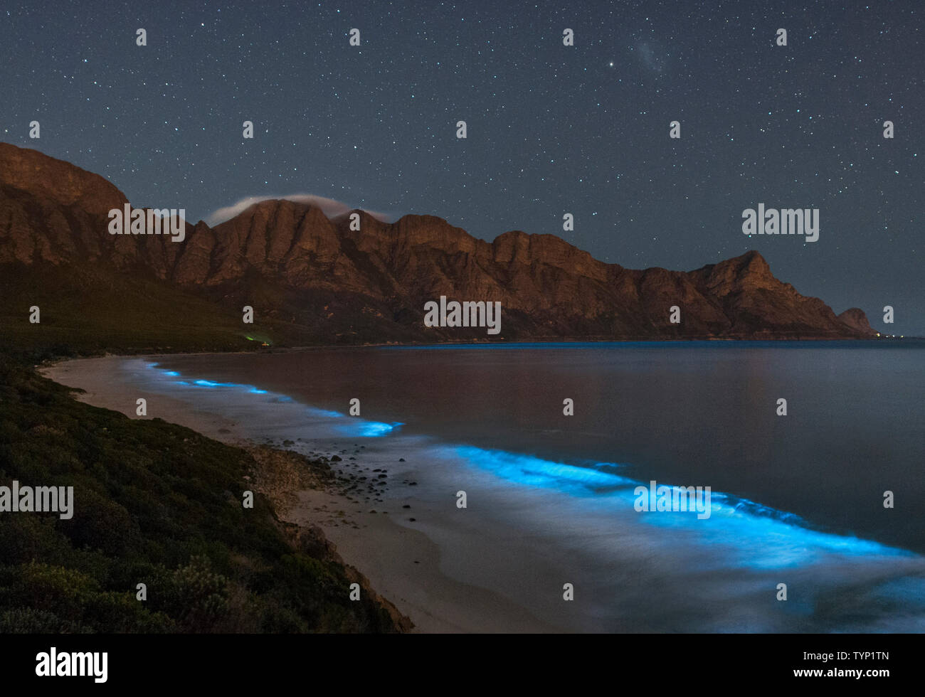 Fitoplancton bioluminiscente iluminando el océano a lo largo de la costa en la Reserva de la Biosfera Kogelberg cerca de Cape Town, Sudáfrica. Foto de stock