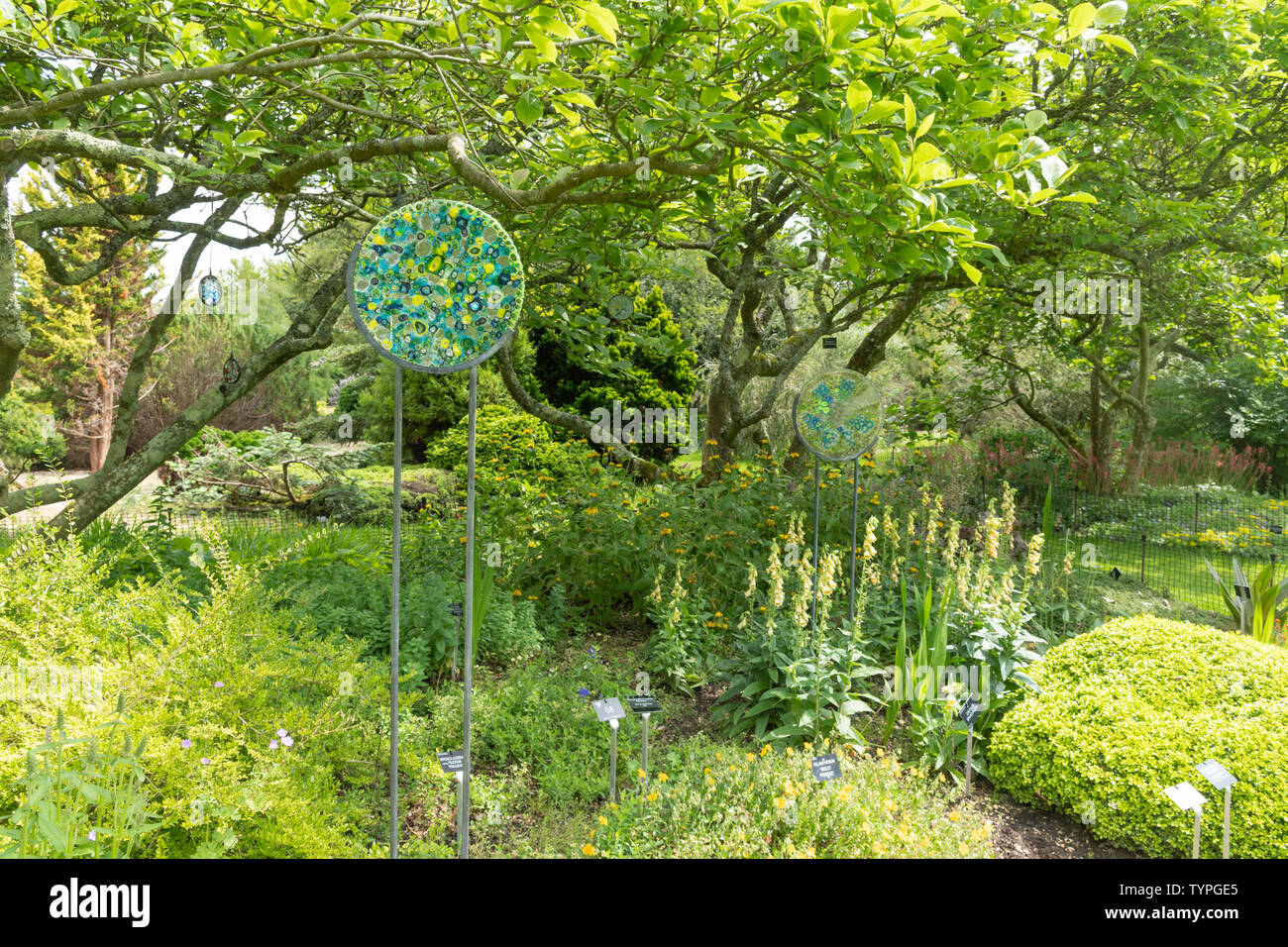 La ilustración en el jardín, esculturas en Sir Harold Hillier Jardines, Hampshire, Reino Unido, durante el mes de junio o verano Foto de stock