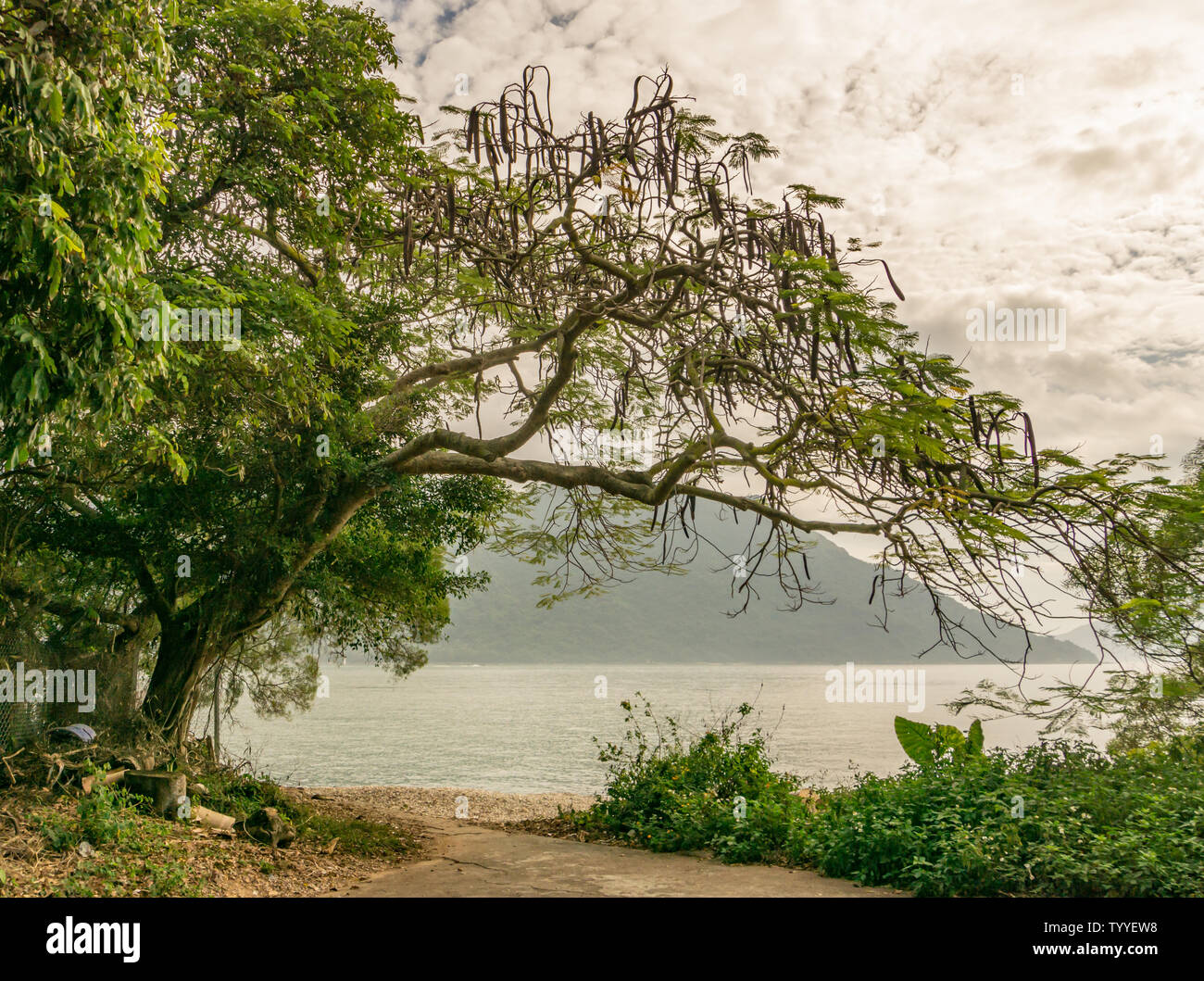 Un árbol marcos el Mar del Sur de China y de Launtau monutains isla visto desde la aldea pesquera de Tai O en Hong Kong. Foto de stock