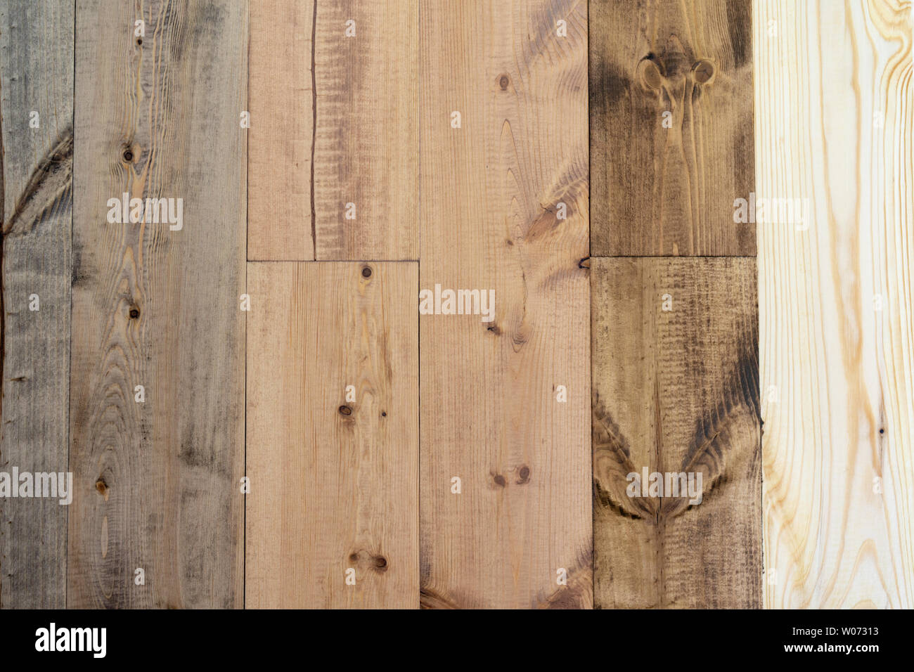 Reparación y decoración. Las muestras de productos ecológicamente inocuos  para el revestimiento de suelos de madera - aceite-cera en diferentes  colores Fotografía de stock - Alamy