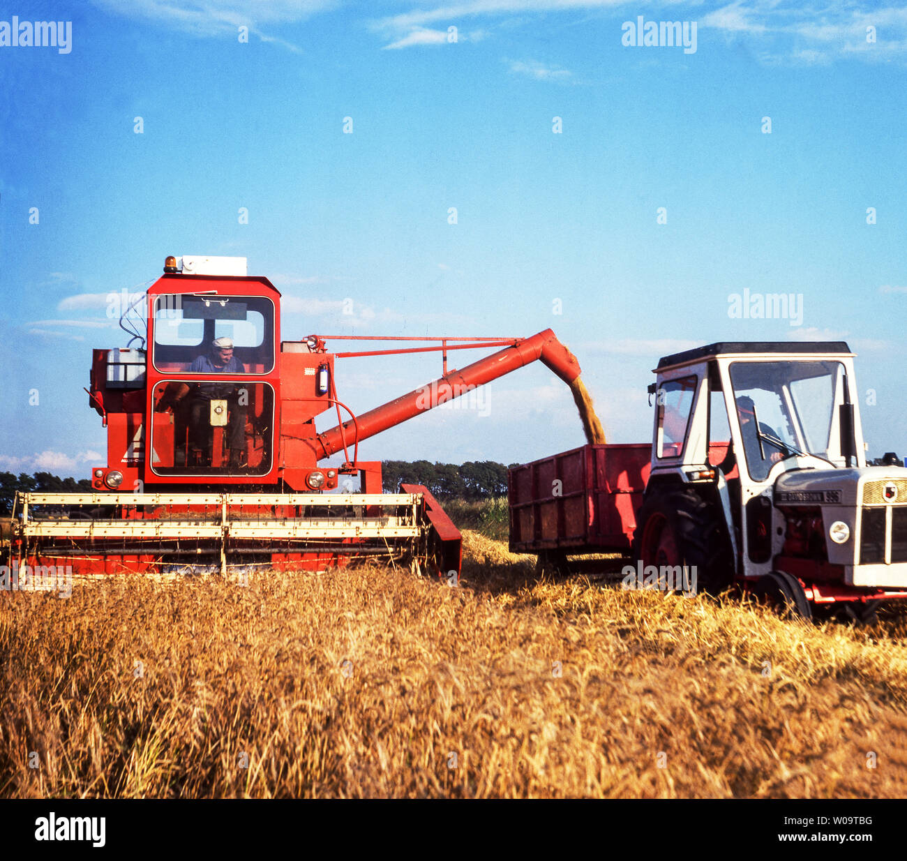 Inglaterra.County Durham.Farming.Combined corte cosechadora de un campo de trigo y descargando el trigo trillado al mismo tiempo Foto de stock