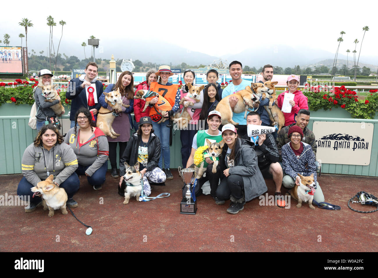Corgi Nacionales 2019 en Santa Anita Park en Arcadia, California el 26 de mayo de 2019 Presentando: Bradley Taylor, Jessica Wick, finalistas donde: Los Angeles, California, Estados Unidos Cuándo: 26 de mayo de 2019 Crédito: Sheri Determan/WENN.com Foto de stock