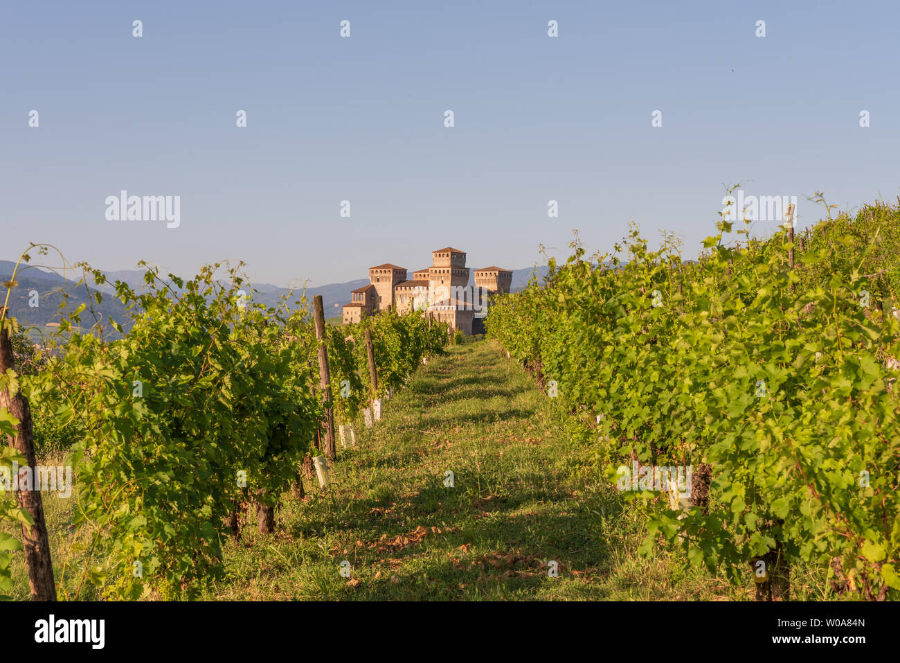 Vista de un castillo de una viña en las colinas italianas, paisaje bajo el cielo azul de Emilia Romagna Foto de stock