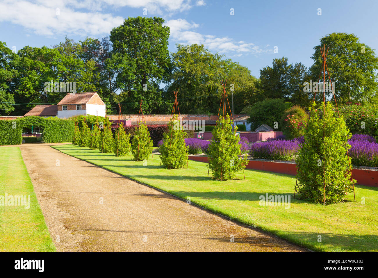 El clima del REINO UNIDO: Una luminosa mañana en Elsham jardines y Country Park. Elsham, Norte de Lincolnshire, Reino Unido. El 21 de junio de 2019. Foto de stock