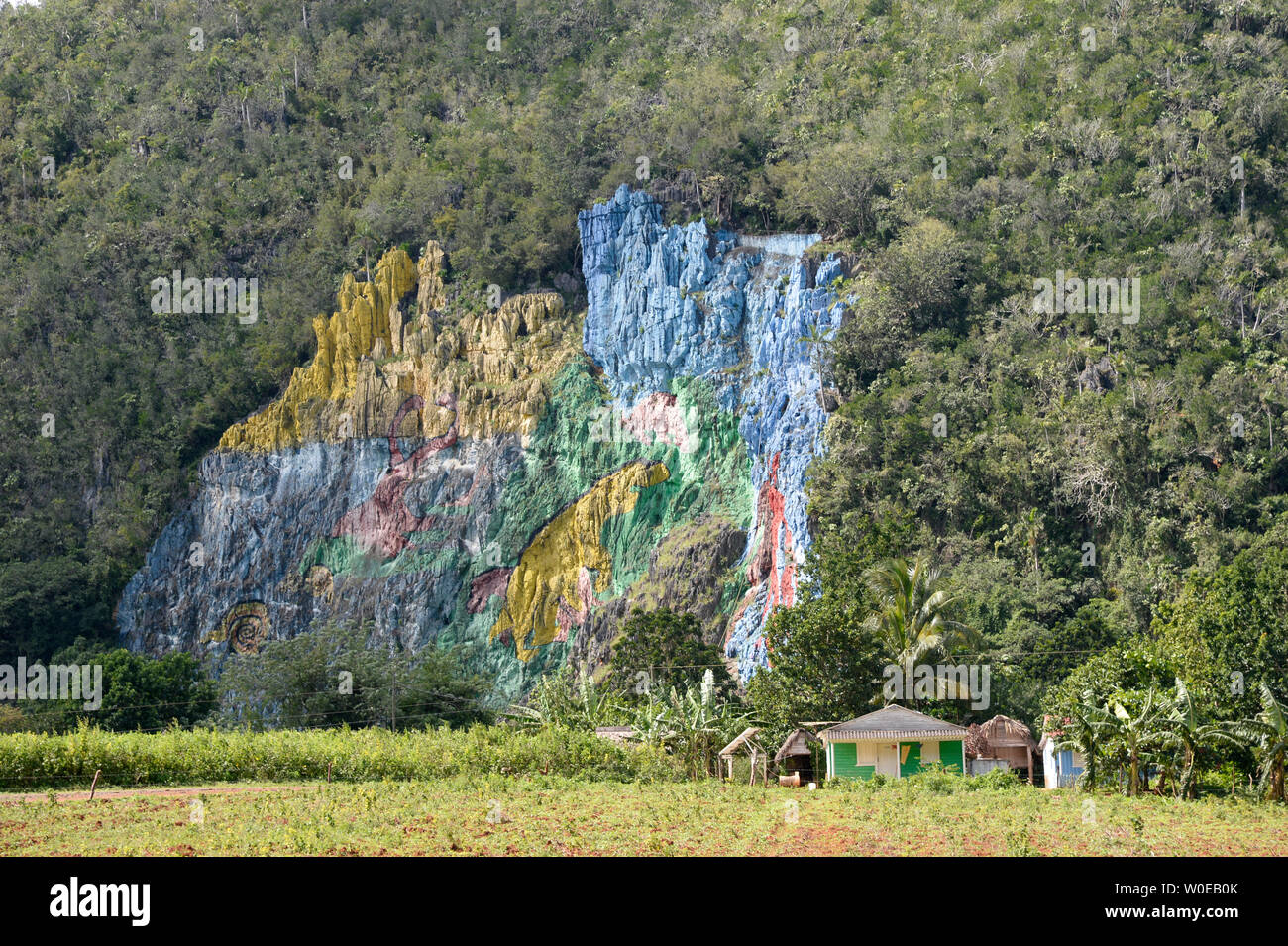 Cuba, Pinar del Río, la zona de Viñales, un gigante de la pintura sobre un acantilado llamado muro prehistórico Foto de stock