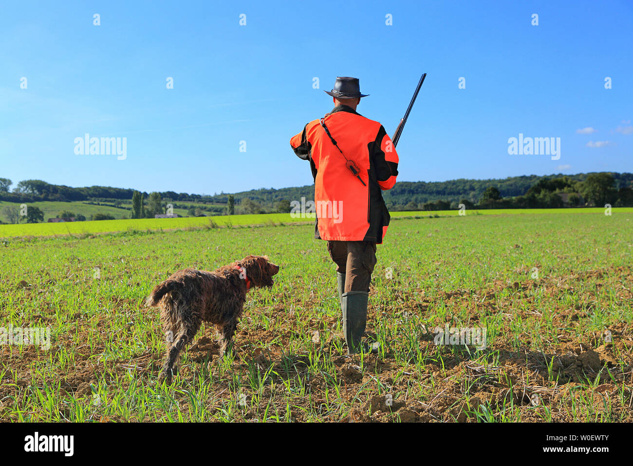 Francia, la caza. Cazador con su perro Foto de stock