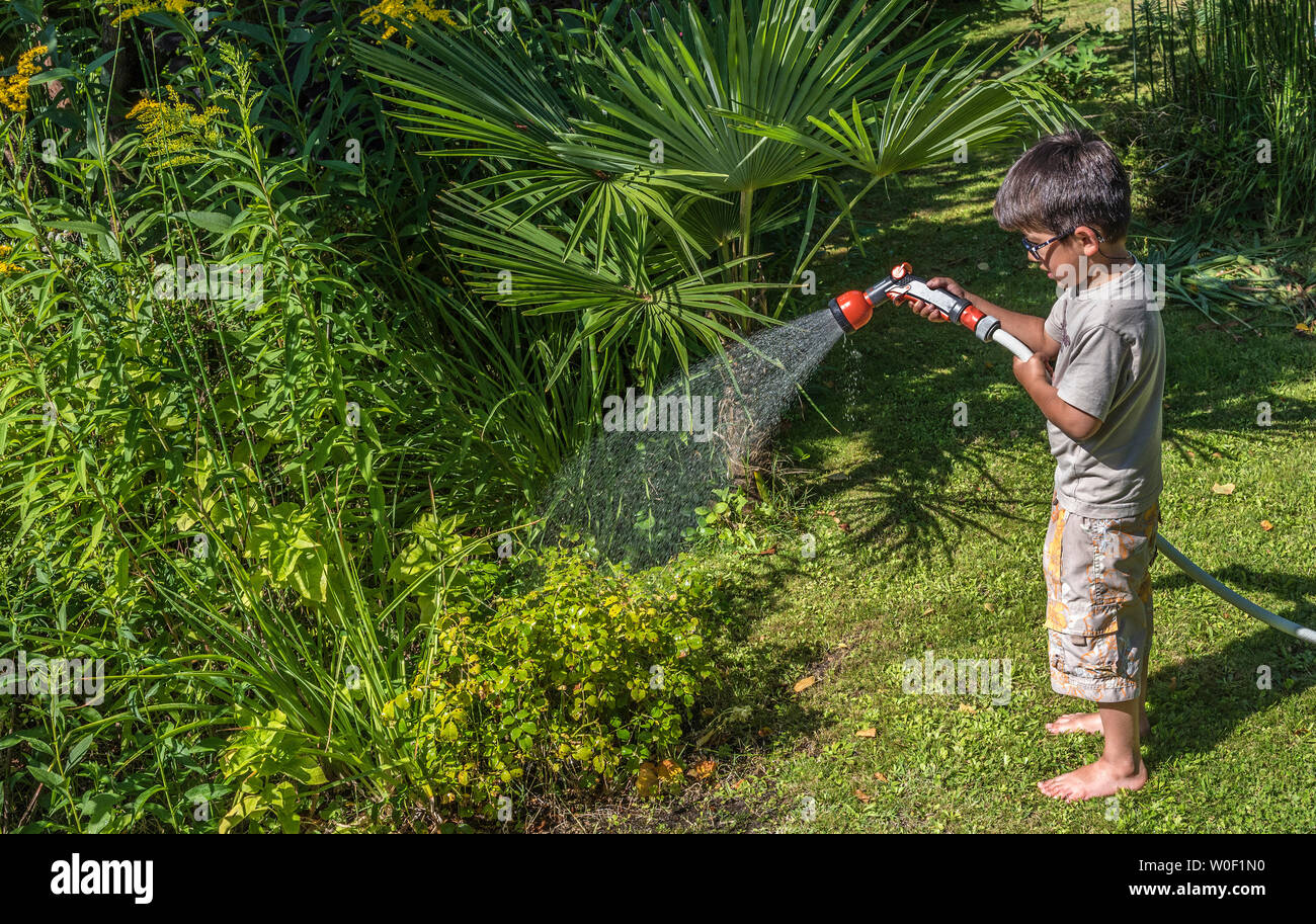 Cinco-año-viejo muchacho regar las plantas con una manguera Foto de stock