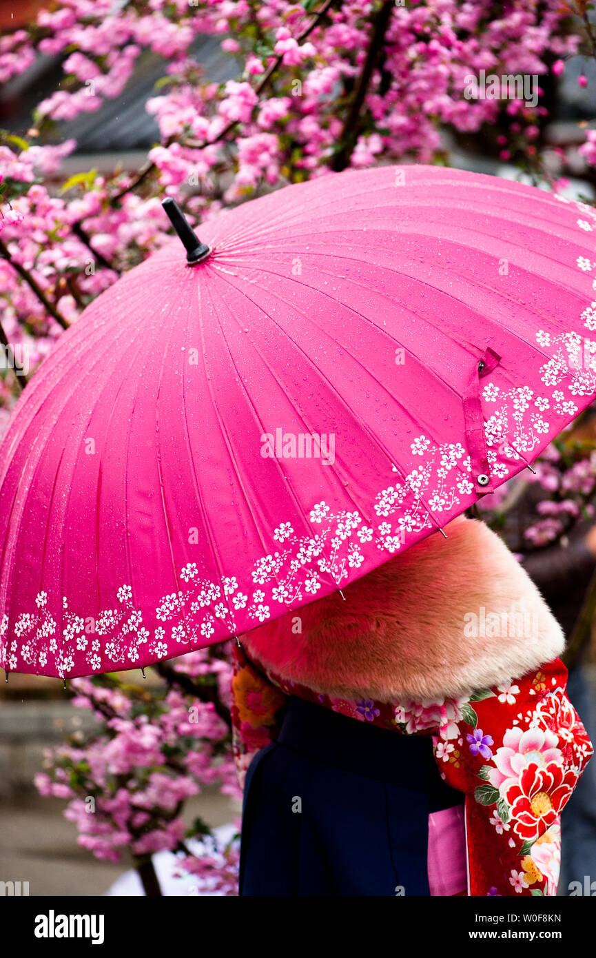 Paraguas japonés fotografías e imágenes de alta resolución - Alamy
