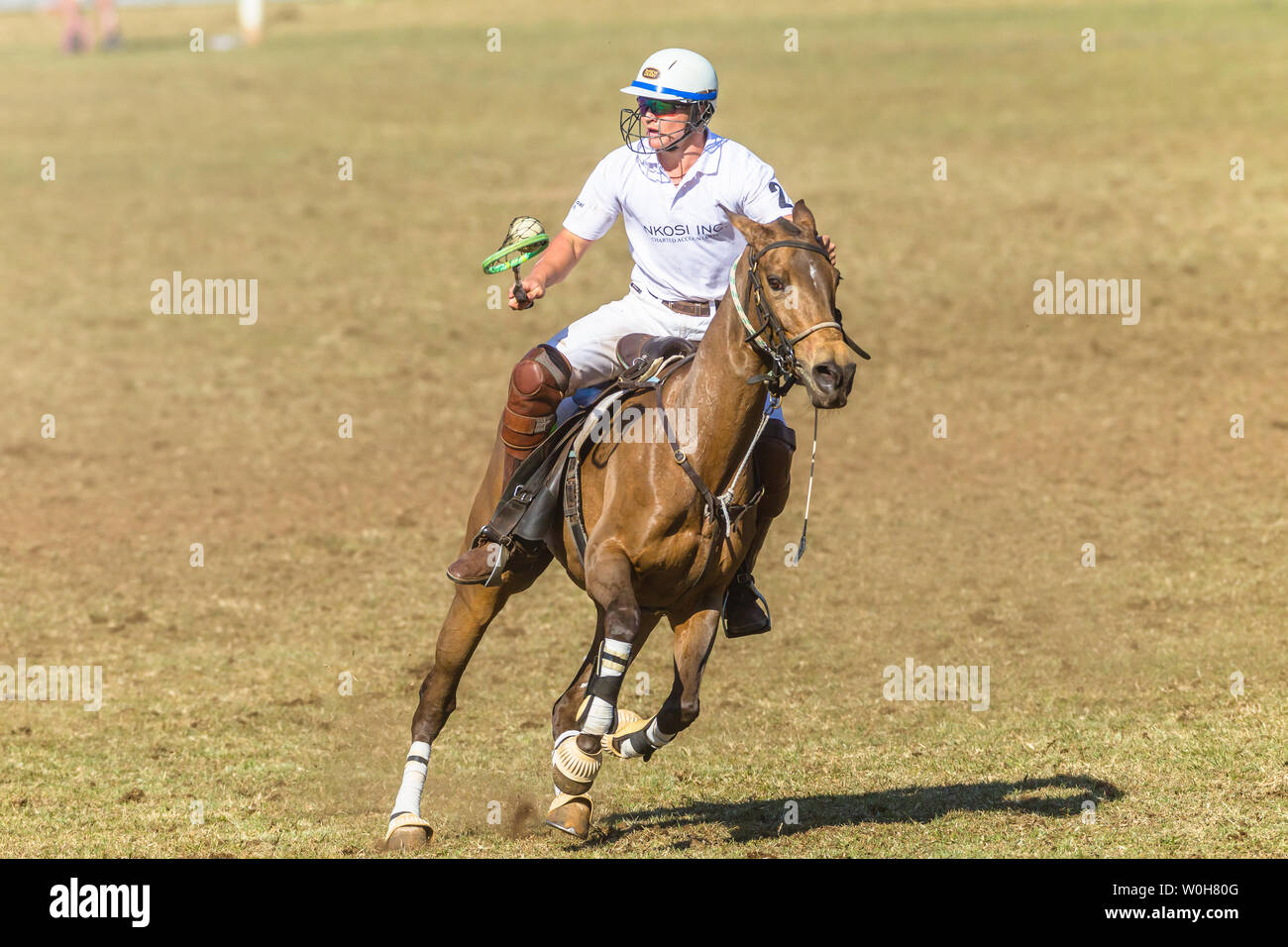 Polocrosse deporte ecuestre caballos pony rider jugadores closeup rápido juego de acción. Foto de stock