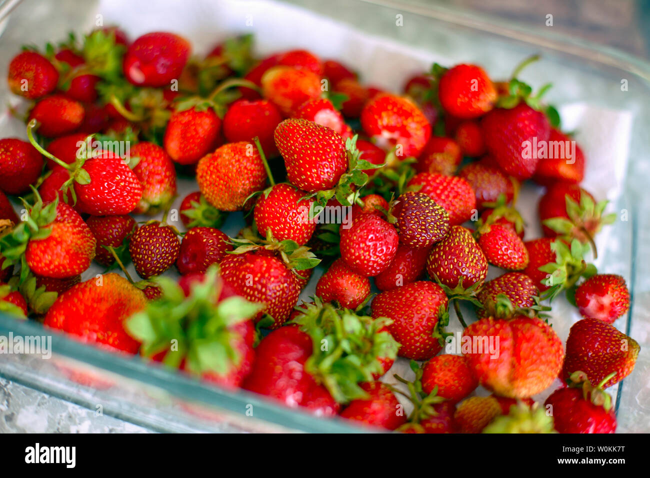 Muchas Fresas Frescas. Frutilla De Fresa Foto de archivo - Imagen de baya,  limpio: 189564836