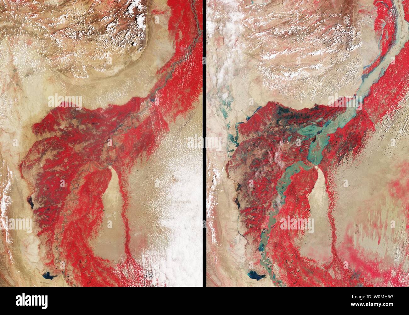 Estas imágenes adquiridas por el nadir (vertical) para la visualización de cámara en el Multi-ángulo espectrorradiómetro de imagen (MISR), un instrumento a bordo de la nave espacial Terra de la NASA muestran las zonas afectadas por las inundaciones de Pakistán antes de la inundación del 8 de agosto de 2009, a la izquierda, y después el 11 de agosto de 2010. Estas vistas se muestran en colores falsos, el infrarrojo cercano, el rojo y el verde de las bandas del instrumento como rojo-verde-azul. Esto claramente destaca el contraste entre el agua y la vegetación en las orillas del río, ya que la vegetación parece brillante en el cercano de la región infrarroja del espectro electromagnético. La región del sur de Pakistán s Foto de stock