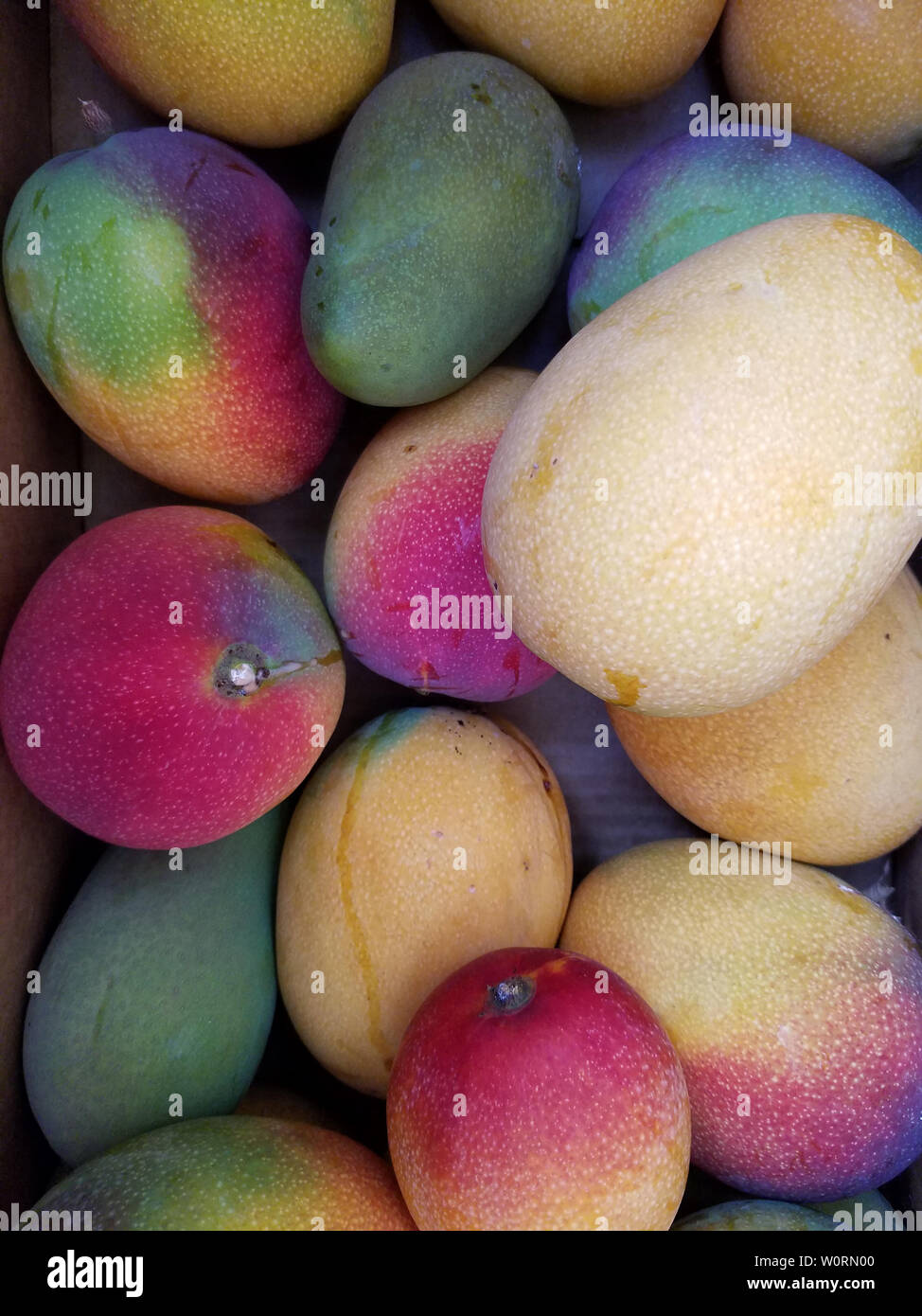 Mangos indios fotografías e imágenes de alta resolución Alamy
