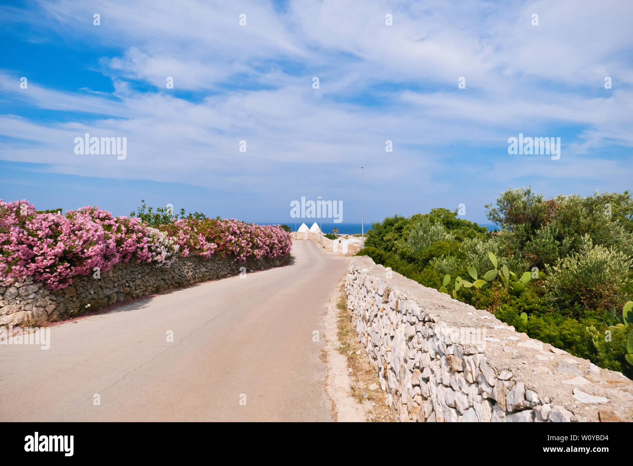 carretera marítima con plantas mediterráneas a los lados Foto de stock