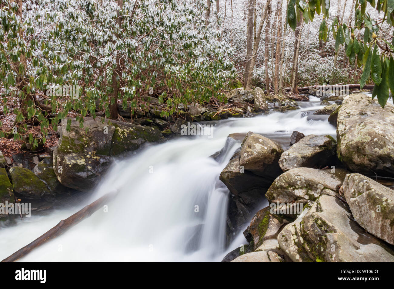 Oriente Prong Little River, escena de invierno de Great Smoky Mountains National Park, Tennessee, EE.UU. Foto de stock