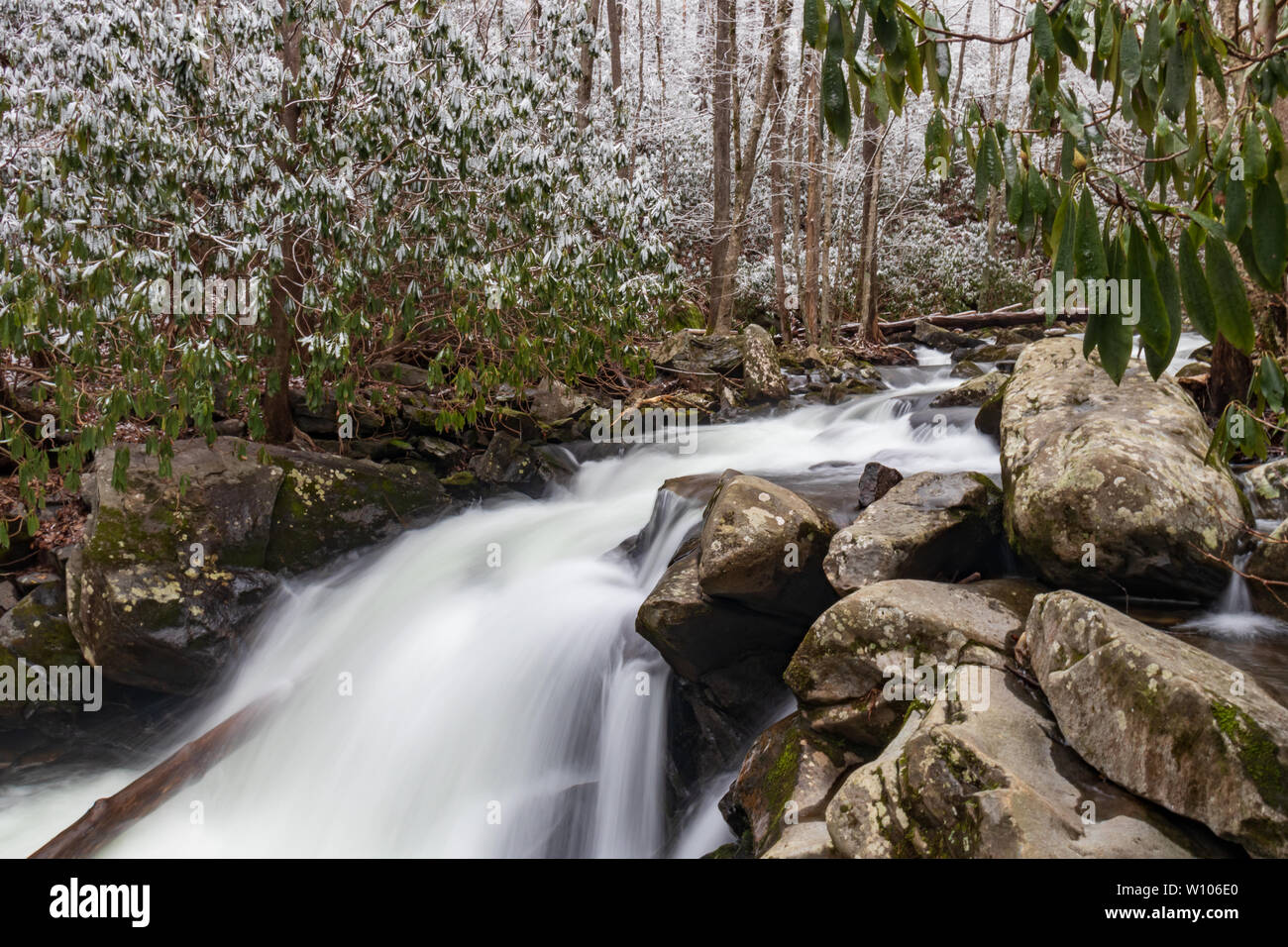 Oriente Prong Little River, escena de invierno de Great Smoky Mountains National Park, Tennessee, EE.UU. Foto de stock