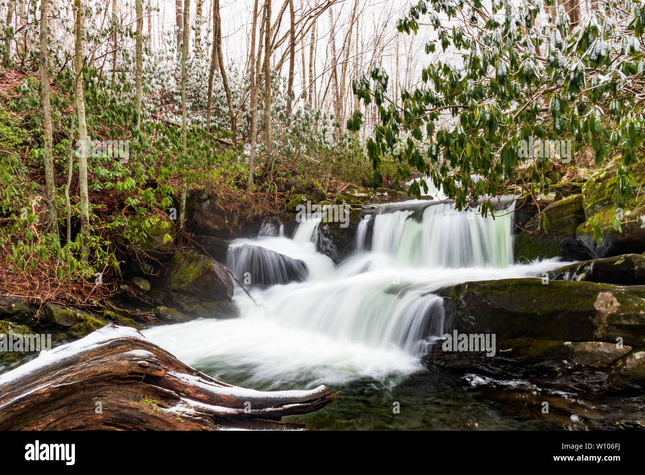 Oriente Prong Little River, escena de invierno de Great Smoky Mountains National Park, Tennessee, EE.UU. Foto de stock