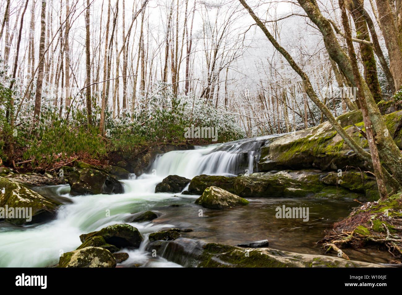 Oriente Prong Little River, escena de invierno de Great Smoky Mountains National Park, Tennessee, EE.UU. Foto de stock