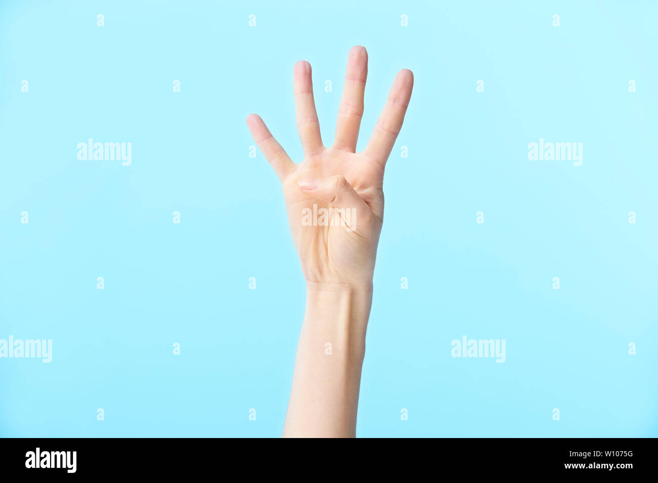La mano humana mostrando número cuatro, aislado sobre fondo azul. Foto de stock