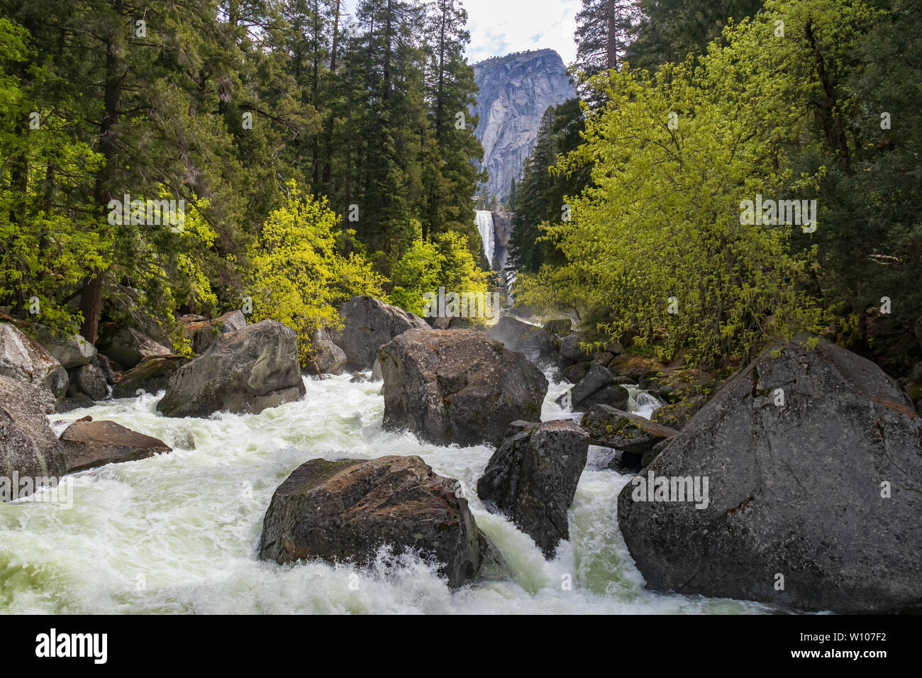 Río Merced con equinoccio cae en el fondo, el Parque Nacional Yosemite, California, EE.UU. Foto de stock