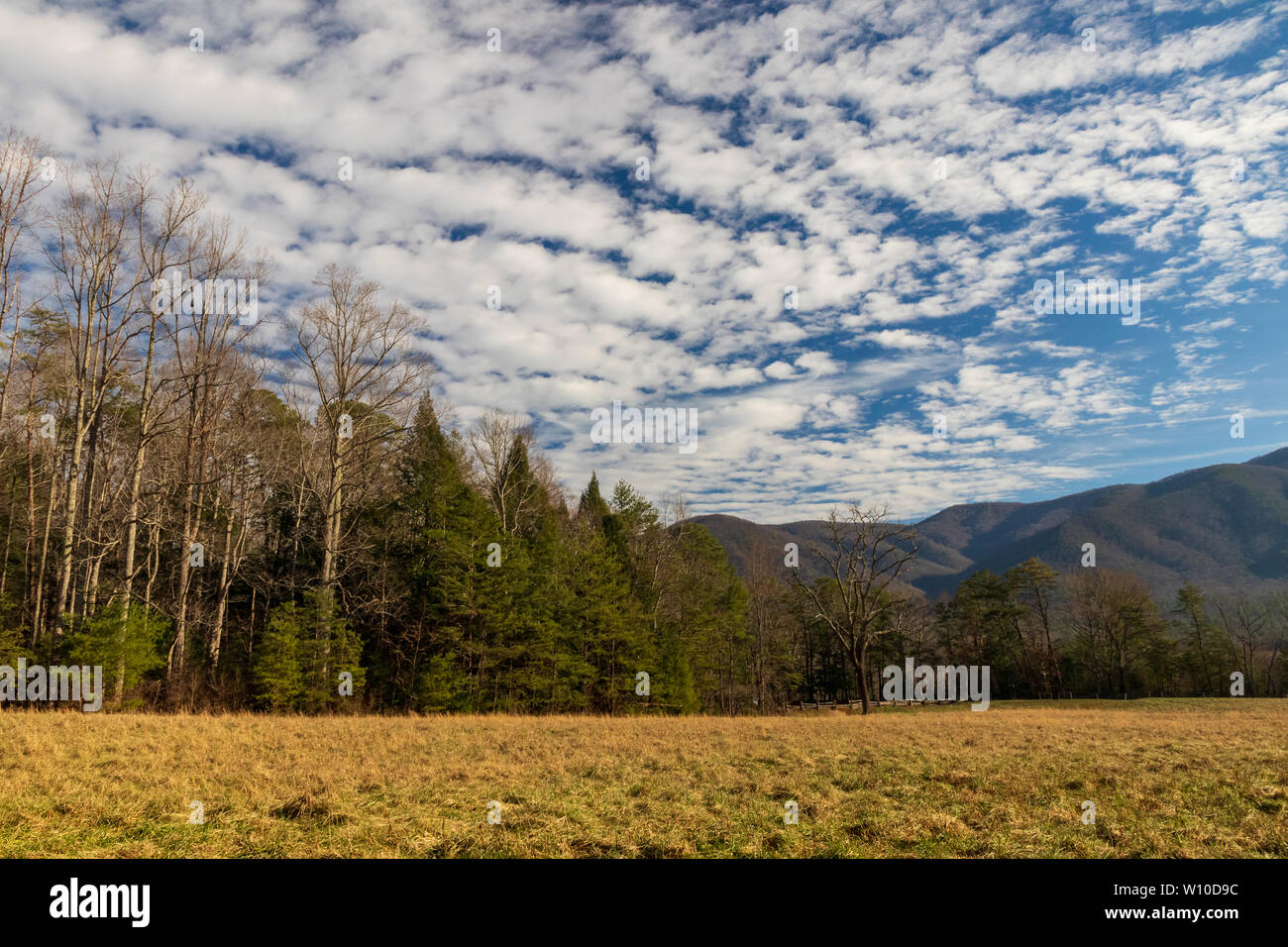 Cades Cove Great Smoky Mountains National Park, EE.UU. Foto de stock