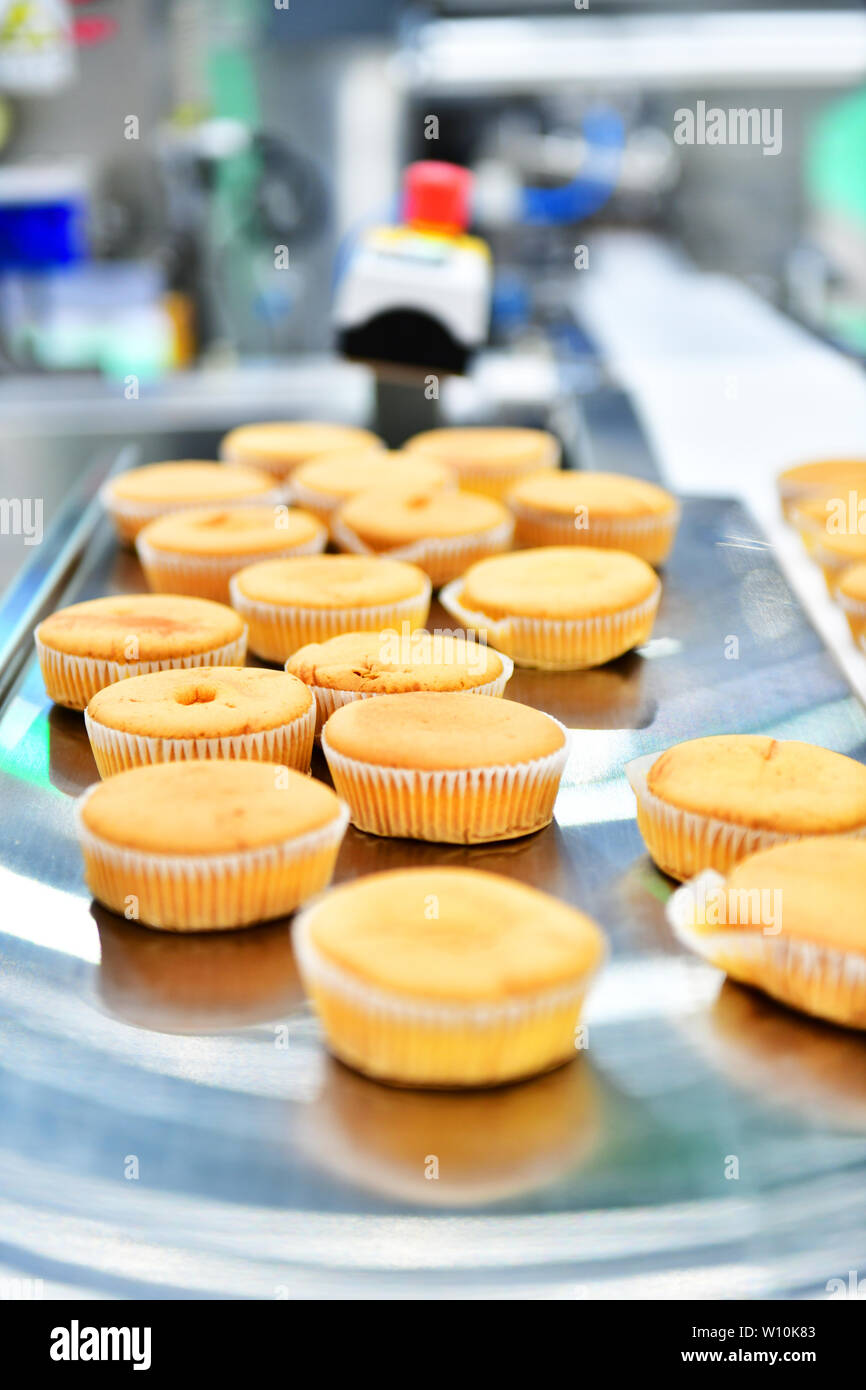 Línea de producción automática de pastelería muffins sobre cinta transportadora maquinaria en la fábrica, la producción industrial de alimentos. Foto de stock